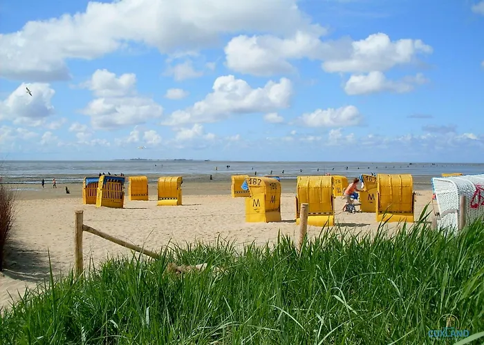 Urlaub In 1. Strandreihe 公寓